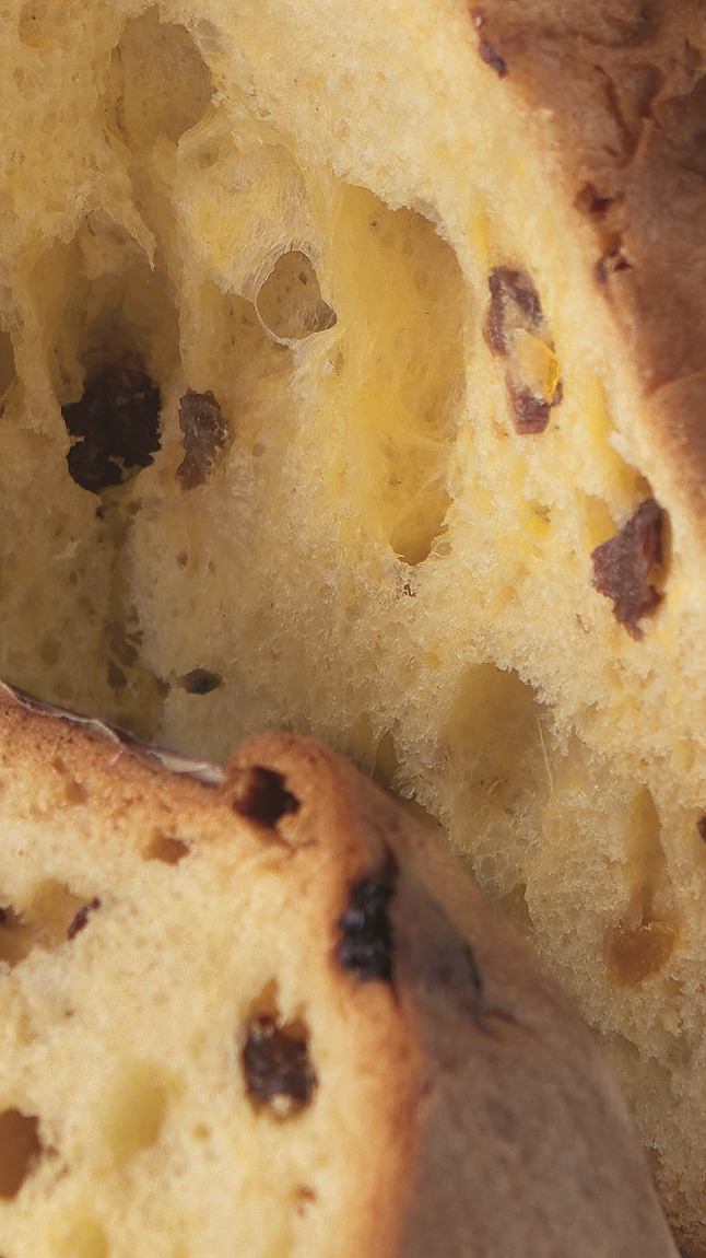 Pan_Dolce_di_Natale_detail_70070 Pan_Dolce_di_Natale_detail_70070