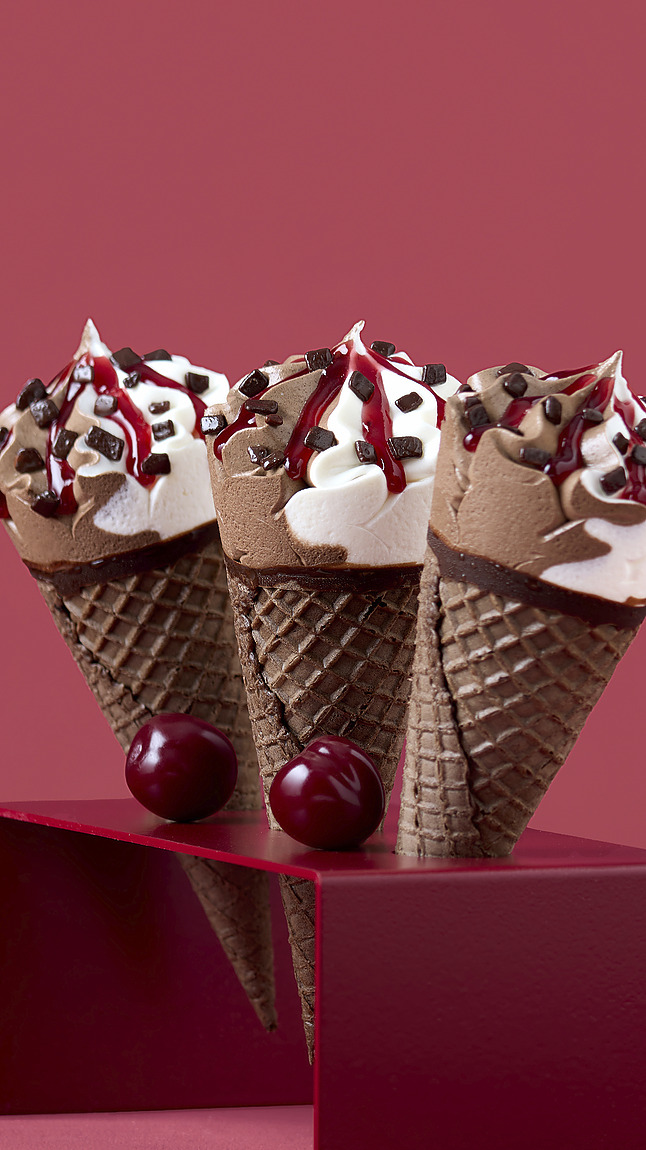 Cono_Foresta_Nera_detail_40121