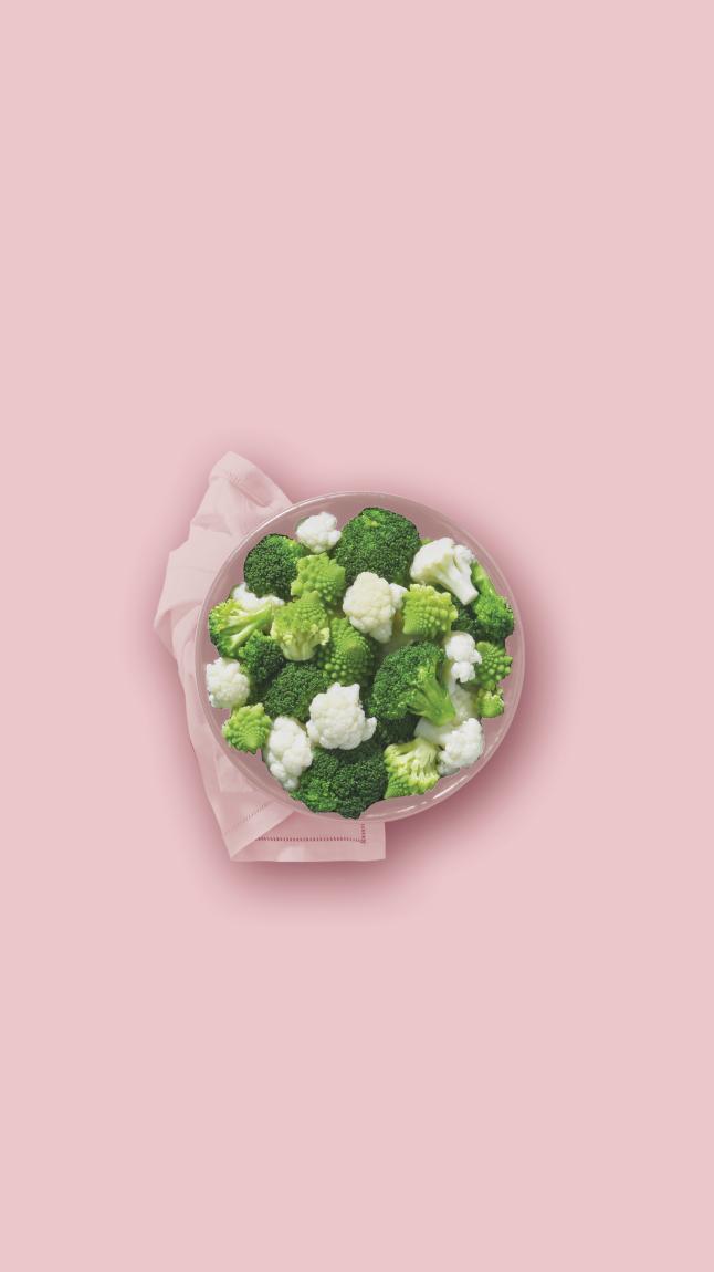 Belle_rosette_web_45005 Belle_rosette_web_45005
