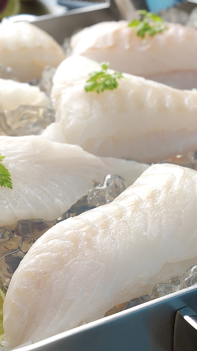 Merluzzo_sudafricano_tuttapolp_detail_60095 Merluzzo_sudafricano_tuttapolp_detail_60095