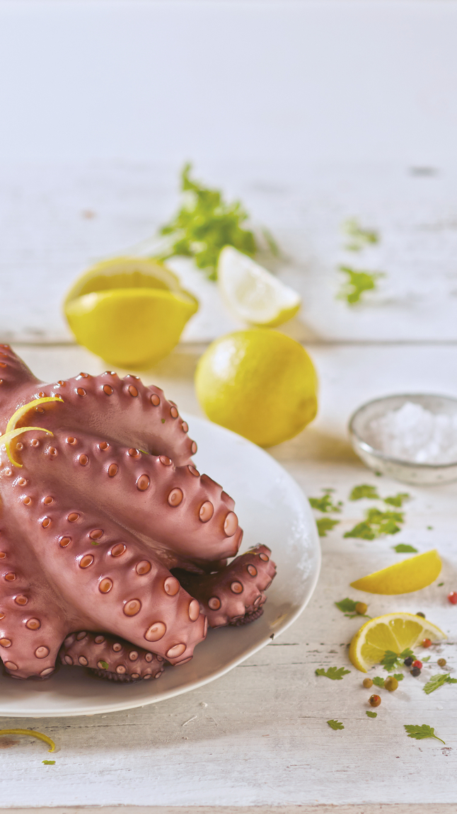 Polpo_intero_crudo_web_75038