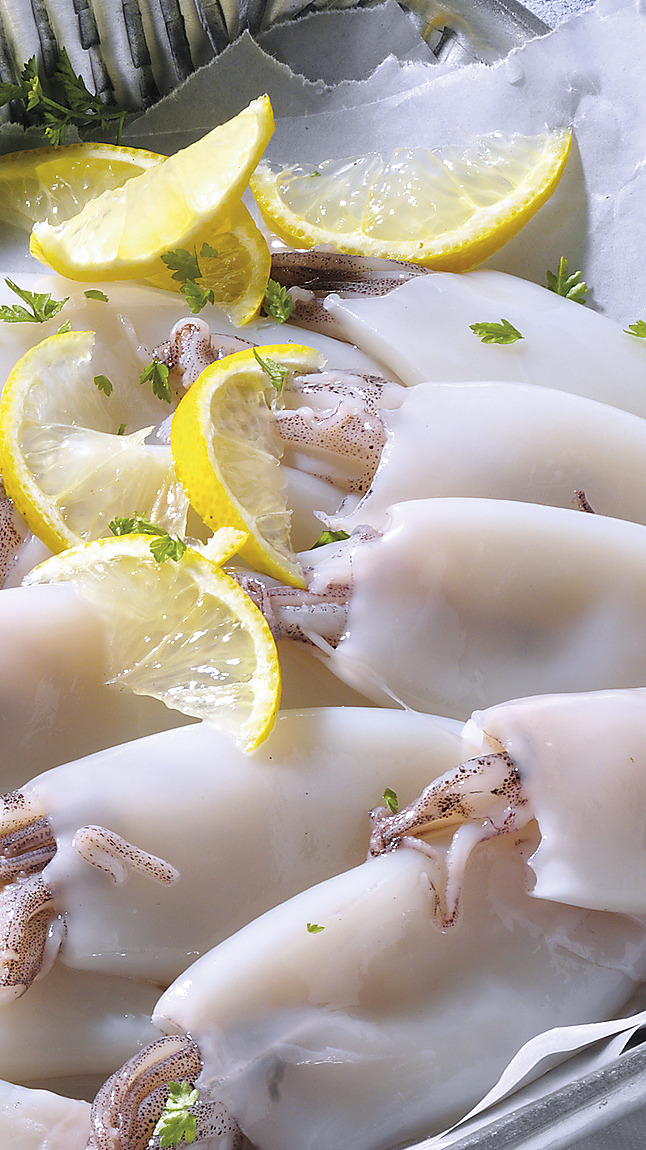 Calamari_oceanici_detail_60112