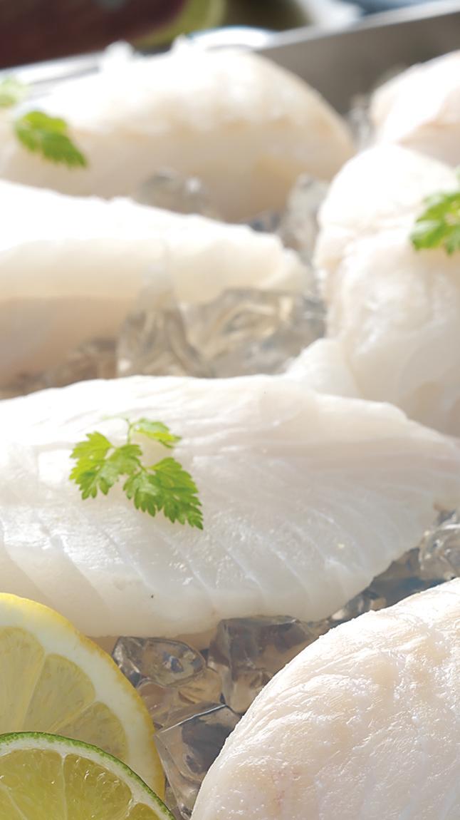 Merluzzo_sudafricano_tuttapolp_detail_3691 Merluzzo_sudafricano_tuttapolp_detail_3691