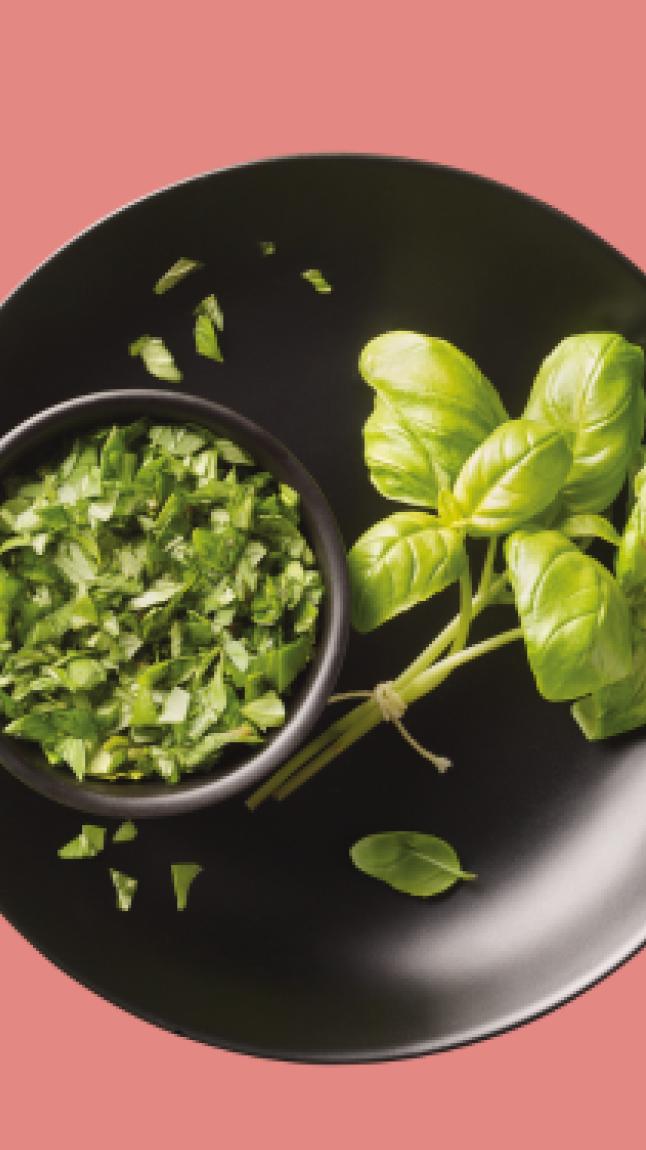 Basilico_detail_45076 Basilico_detail_45076