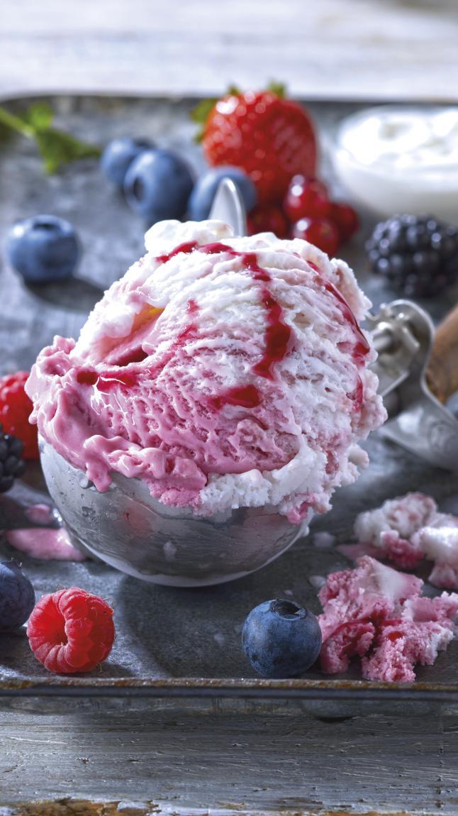 Yogurt_frutti_di_bosco_web_3307 Yogurt_frutti_di_bosco_web_3307