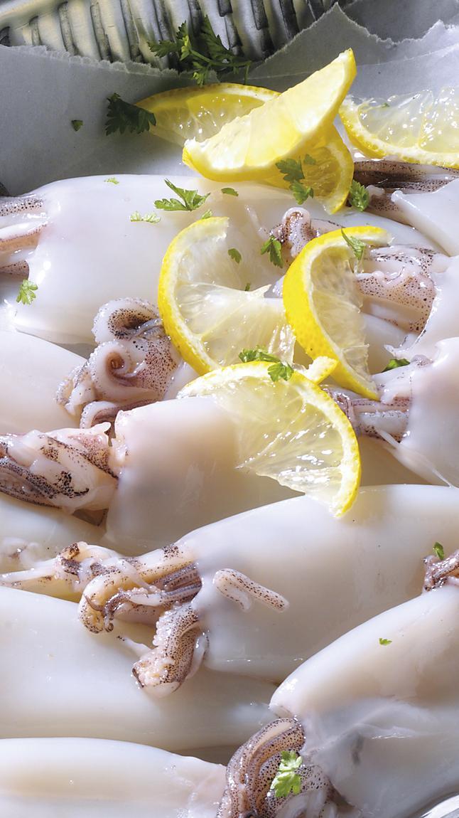 Calamari_indopacifici_detail_33113 Calamari_indopacifici_detail_33113