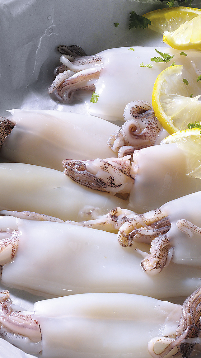 Calamari_indopacifici_detail_33113 Calamari_indopacifici_detail_33113