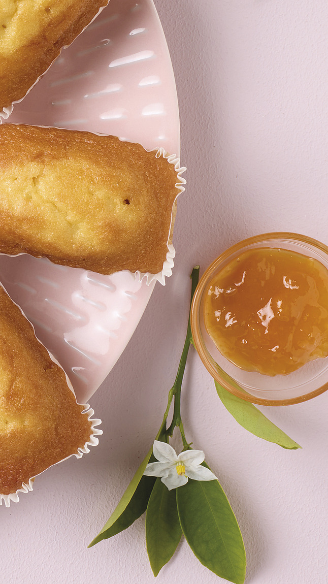 Plumcake_allalbicocca_detail_70160 Plumcake_allalbicocca_detail_70160