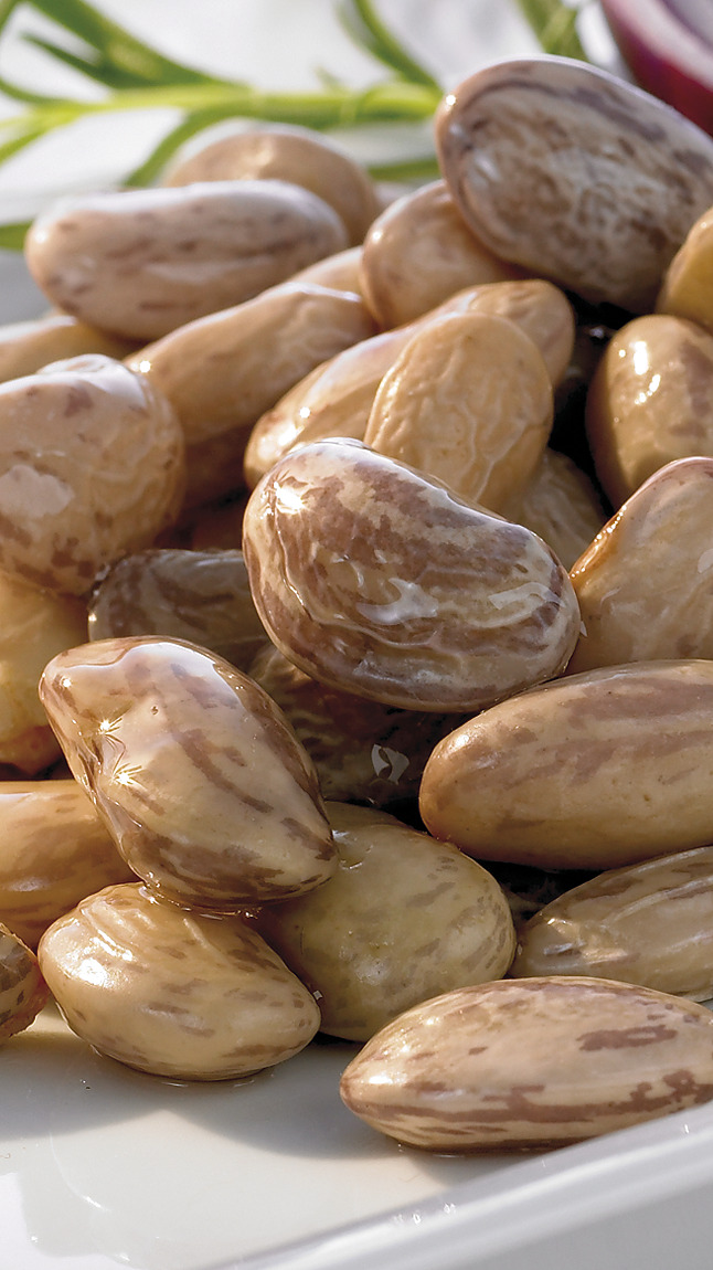 Fagioli_borlotti_detail_14136 Fagioli_borlotti_detail_14136