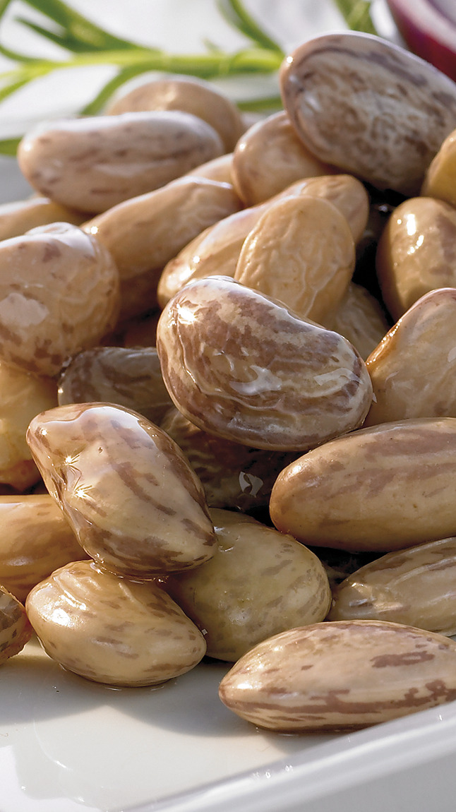 Fagioli_borlotti_detail_14136 Fagioli_borlotti_detail_14136