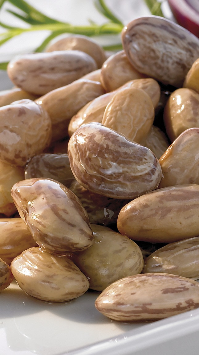 Fagioli_borlotti_detail_14136 Fagioli_borlotti_detail_14136