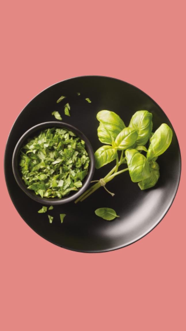 Basilico_web_45076 Basilico_web_45076