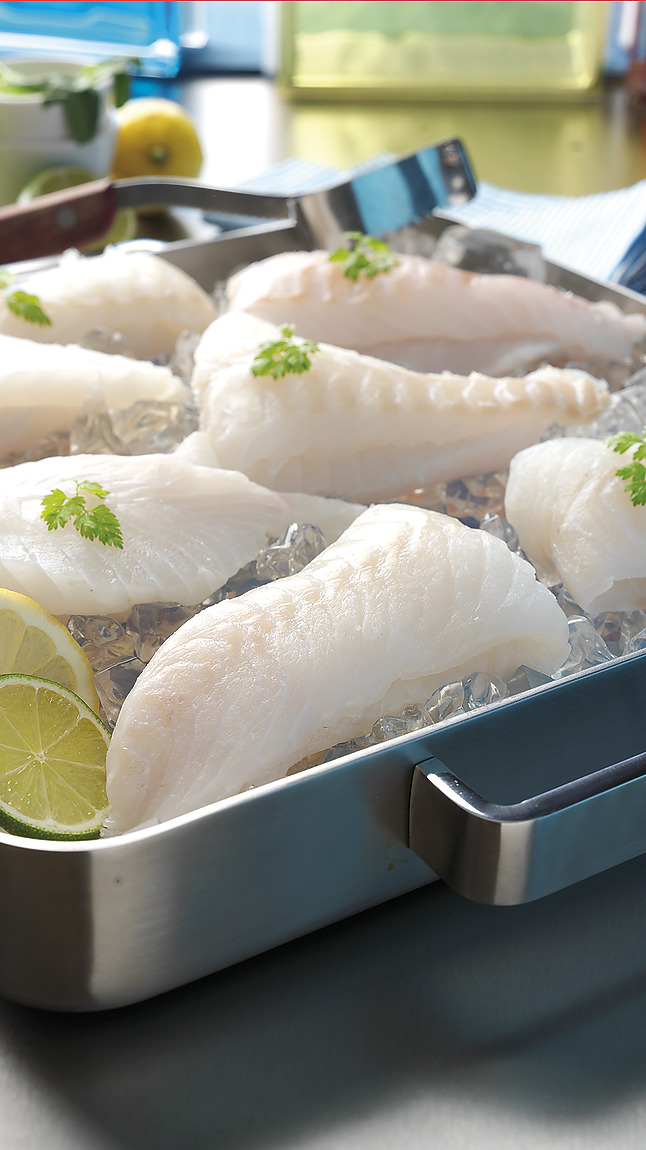 Merluzzo_sudafricano_tuttapolp_web_3691 Merluzzo_sudafricano_tuttapolp_web_3691