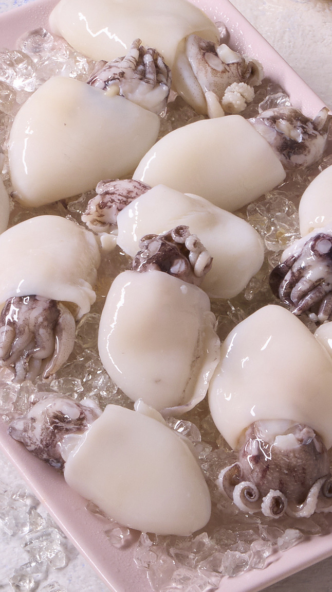 Seppie_indopacifiche_detail_33333 Seppie_indopacifiche_detail_33333