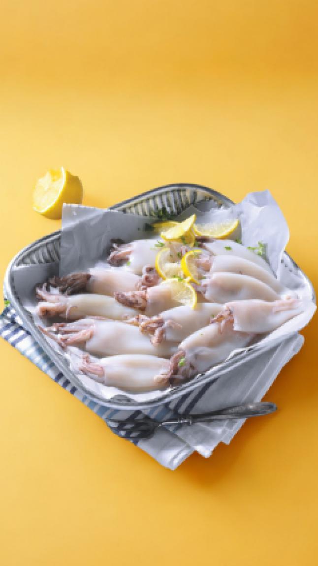 Calamari_indopacifici_web_33113 Calamari_indopacifici_web_33113