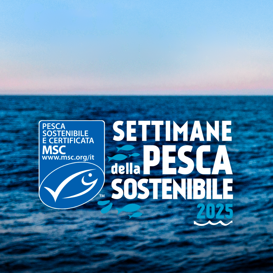 MSC - Segui il BLU