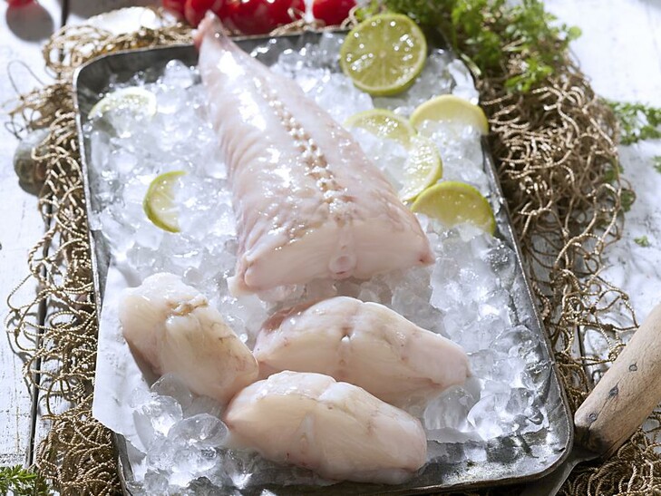 Coda di rana pescatrice oceanica