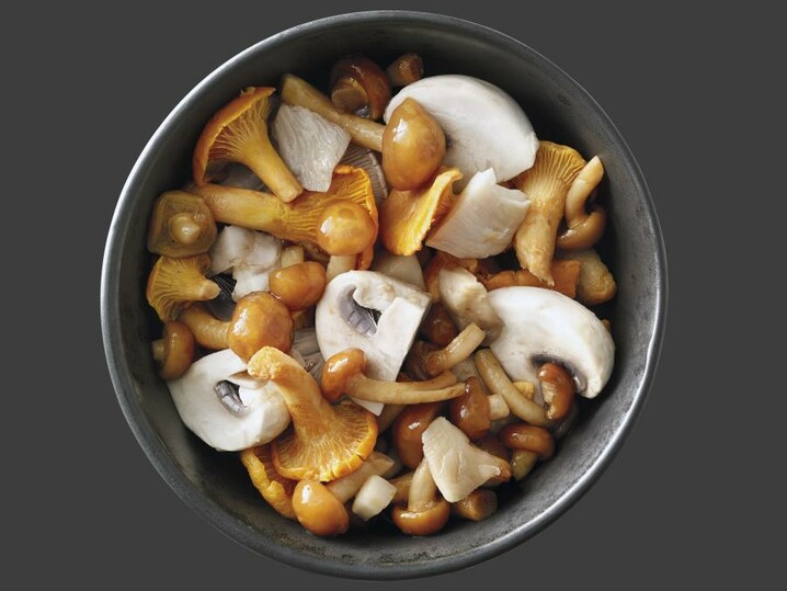 Funghi del bosco